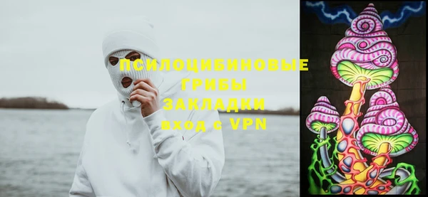 2c-b Карпинск
