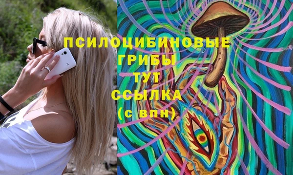 не бодяженный Абаза