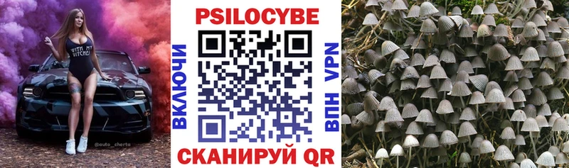 Псилоцибиновые грибы GOLDEN TEACHER  цены наркотик  Уссурийск 