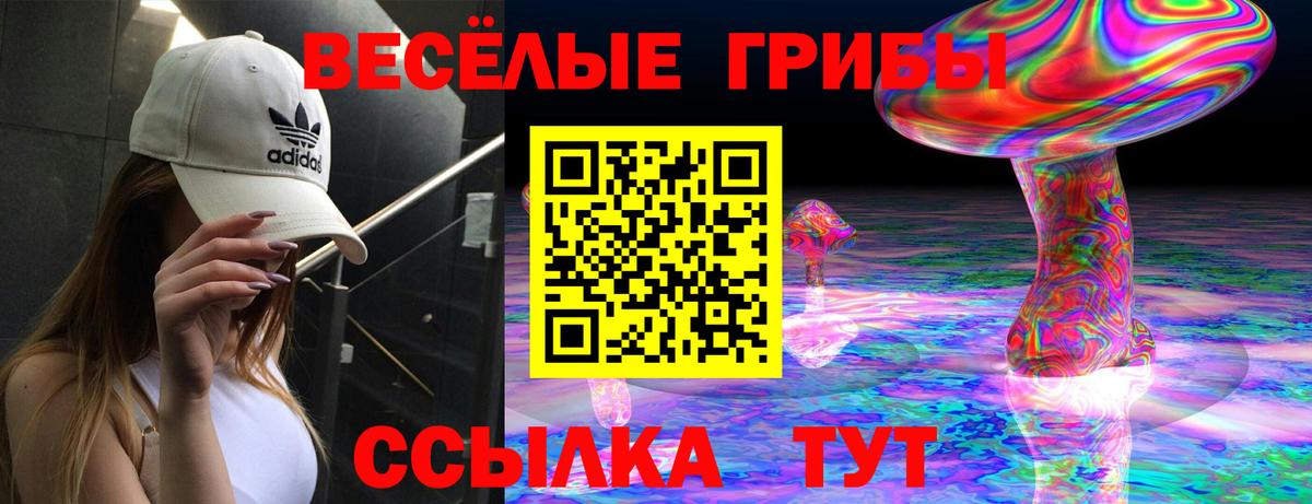Уссурийск  Галлюциногенные грибы Psilocybe  Вход с VPN 